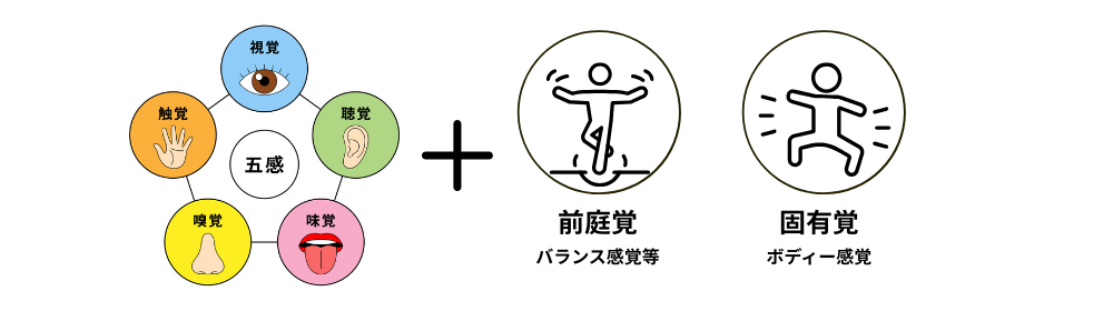 【保育士向け】感覚過敏とは?気になる子の“感じ方の違い”と支援のヒント | ほ・ほ・ほいく